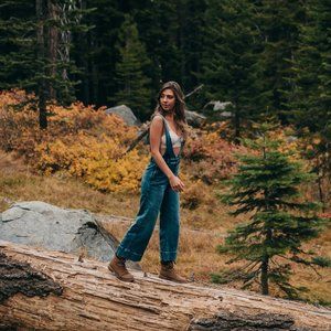 Free People Denim Overalls